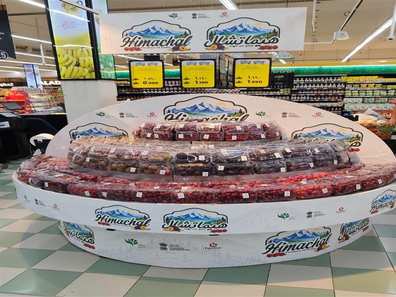 Himachal Pradesh Sends First Historic Fruit Export Consignment To Royal Oman