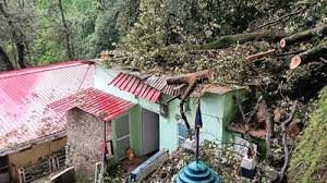 Heavy Rains Trigger Tree Collapse On Shimla House Causing Major Structural Damage Overhead