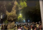 Fresh Violence Near Jantar Mantar Leaves Senior Police Officer Injured Following Stone Pelting