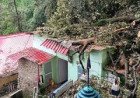 Heavy Rains Trigger Tree Collapse On Shimla House Causing Major Structural Damage Overhead