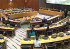 UNSC Cannot Remain Hostage to the Interests of a Few Nations: India