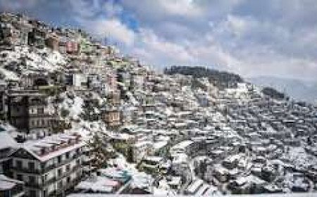Municipal Corporation Orders Eviction Of Over One Hundred Fifty Unsafe Shimla Houses