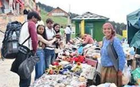 Jalori Pass Leads Himachal’s Sustainable Tourism Drive with Community-Centric Conservation Model