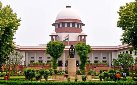Big Setback for Sukhu Govt: Supreme Court Dismisses SLP on Employee Seniority and Financial Benefits