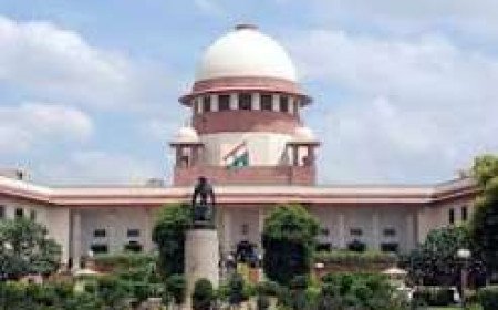 Shimla Deputy Commissioner Orders Strict Enforcement Of Supreme Court Missing Guidelines