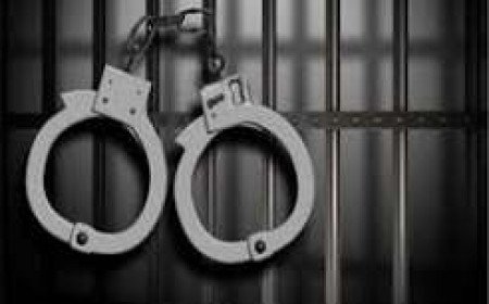 Solan police arrest woman and her paramour for plotting husband’s murder