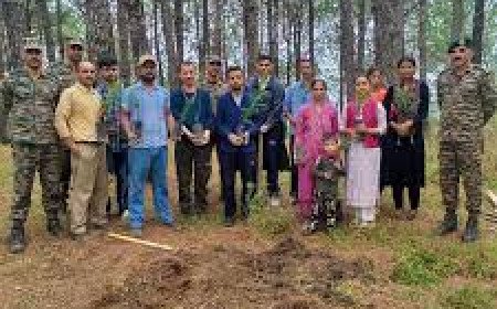 Shimla Based Eco Task Force Launches Two Day Environmental Reforestation Drive Across Himachal Hills