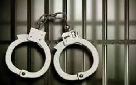 Paonta Sahib Trader Arrested in Connection With Massive Sixty Three Lakh Fraud