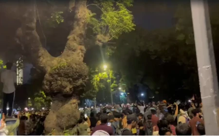 Fresh Violence Near Jantar Mantar Leaves Senior Police Officer Injured Following Stone Pelting