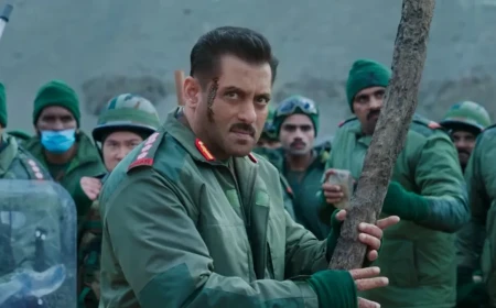 Salman Khan Films Dismisses Reports Claiming CBFC Certification Hurdles For Maatrubhumi