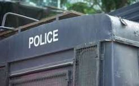 Shimla Deploys Three Hundred Cops To Manage Seasonal Apple Transportation Traffic