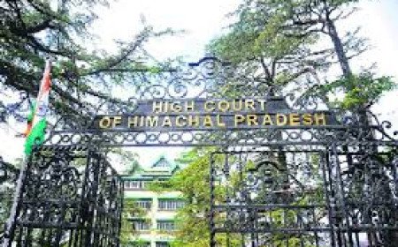 Himachal Pradesh High Court Seeks Detailed Report On Delayed Seema Bridge Construction Rohru