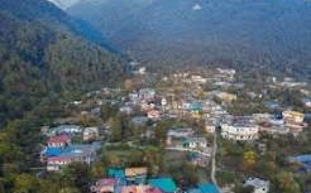 Four Months After Formation Bir Nagar Panchayat Office Remains Completely Non Functional