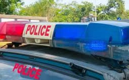 Father Alleges Two Minor Sons Held Captive And Assaulted By Group In Mandi