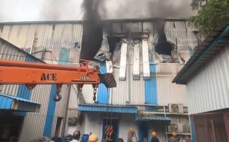 Massive Fire Devastates Baddi Pharmaceutical Unit; No Casualties Reported In Incident