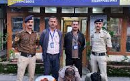 Three Smugglers Arrested in Shimla After Police Seize Major Heroin Consignment