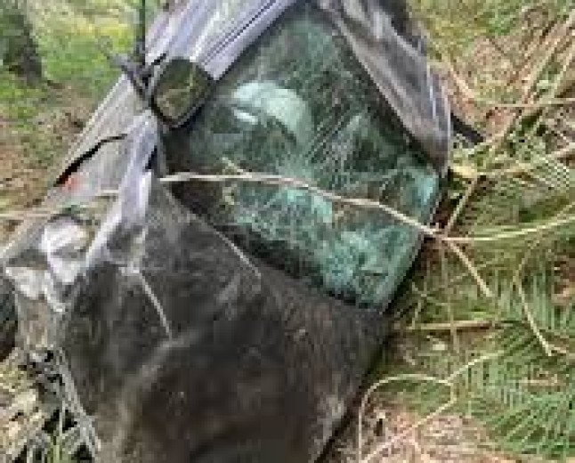 Kangra’s Dual Crisis: Crumbling Infrastructure and Stray Cattle Claim Innocent Lives