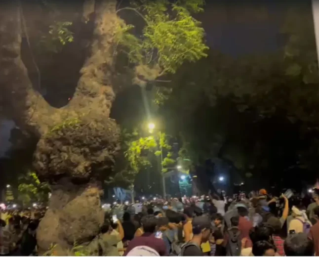 Fresh Violence Near Jantar Mantar Leaves Senior Police Officer Injured Following Stone Pelting