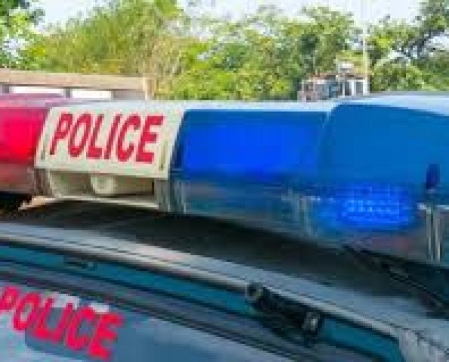 Father Alleges Two Minor Sons Held Captive And Assaulted By Group In Mandi