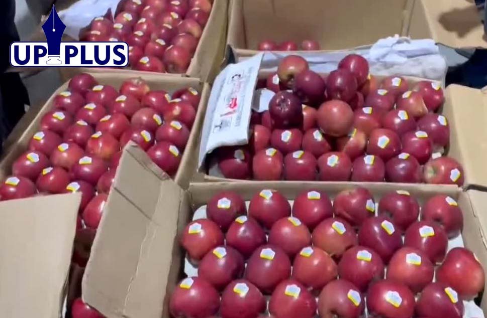 Strict License Display Mandatory for Apple Traders to Protect Himachal Growers