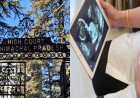 Himachal Pradesh High Court Reaffirms Full Maternity Leave Rights for Commissioning Mothers via Surrogacy