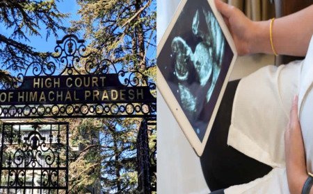 Himachal Pradesh High Court Reaffirms Full Maternity Leave Rights for Commissioning Mothers via Surrogacy