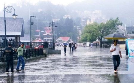 Devastating Monsoon Leaves Himachal Battling ₹1,168 Crore Damage and Road Blockades