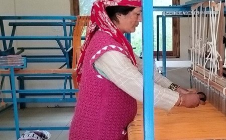 How a Remote Himachali Hamlet Turned into a Globally Recognized Handloom Village