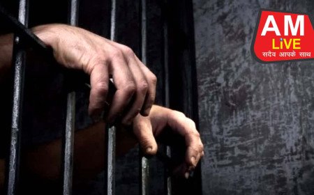 himachal-prisons-overcrowding-crisis