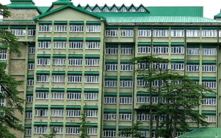 Himachal HC Say's 'Pay First 5 Lakh to School, then CM Sukkhu Hoist the Flag'