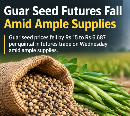Guar Seed Futures Fall Rs 15 on Ample Supplies