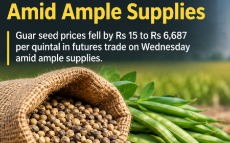 Guar Seed Futures Fall Rs 15 on Ample Supplies