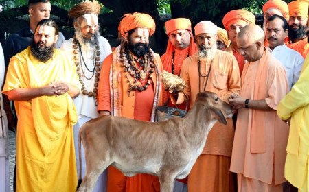 CM Yogi Adityanath Listens to Public Grievances at Gorakhnath Temple 'Janta Darshan', Inspects Goshala
