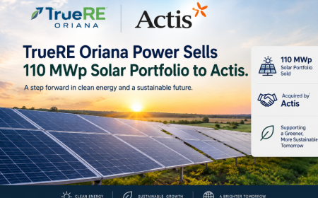 TrueRE Oriana Power Sells 110 MWp Solar Portfolio to Actis