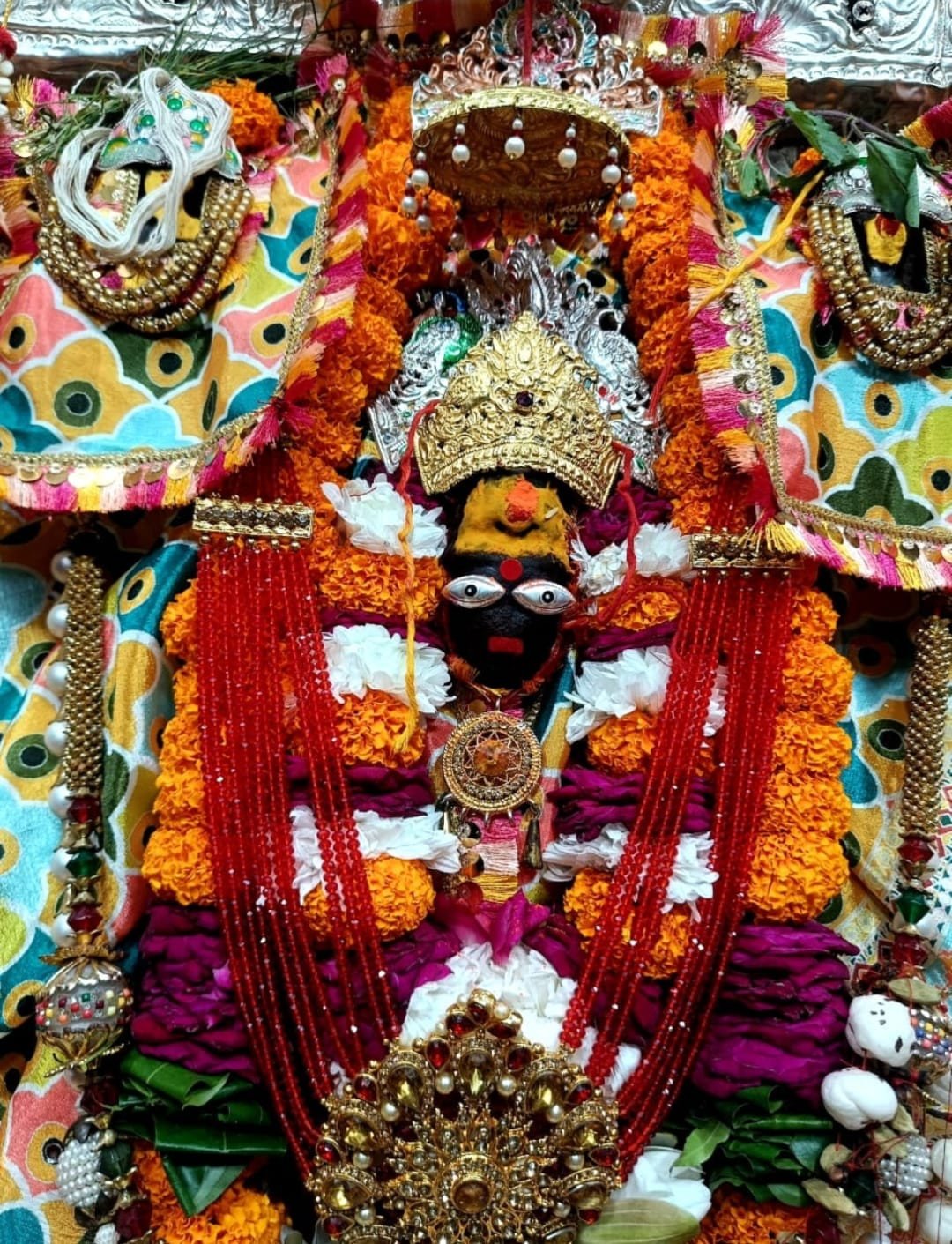 Shardiya Navratri 2026: Goddess Kalyani Manifests as Shailputri on First Day in Prayagraj