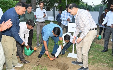 North Central Railway Crosses Milestone with 1.11 Crore Saplings Planted Under ‘Ek Ped Maa Ke Naam’