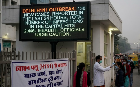 Delhi Reports 138 New H1N1 Cases, Total Hits 2,446